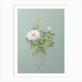 Vintage Ventenat's Rose Botanical Art on Mint Green n.0533 Art Print