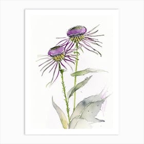 Echinacea Herb Minimalist Watercolour 2 Art Print