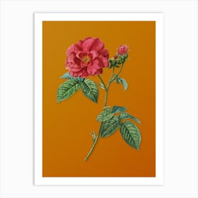 Vintage Apothecary Rose Botanical on Sunset Orange Art Print