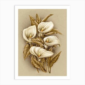 Calla Lily 3 Art Print