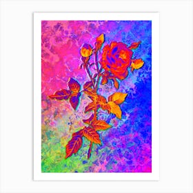 Provence Rose Botanical in Acid Neon Pink Green and Blue n.0152 Art Print