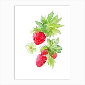 Wild Strawberries, Plant, Watercolour Art Print