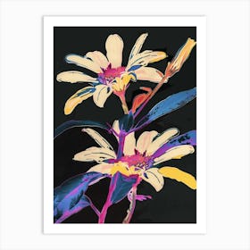 Neon Flowers On Black Cineraria 2 Art Print