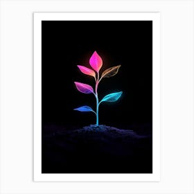 Plant In The Dark 2 Art Print