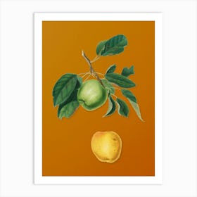 Vintage Apple Botanical on Sunset Orange n.0942 Art Print