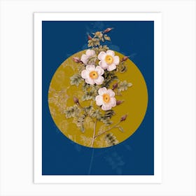 Vintage Botanical Thornless Burnet Rose on Circle Yellow on Blue Art Print