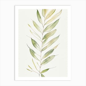 Willow Leaf Minimalist Watercolour 6 Art Print