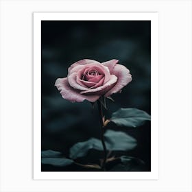 Dark Rose 139 Art Print