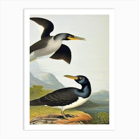 Cormorant James Audubon Vintage Style Bird Art Print