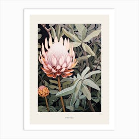 Flower Illustration Protea 1 Poster Art Print