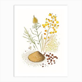 Mustard Seeds Spices And Herbs Pencil Illustration 6 Art Print
