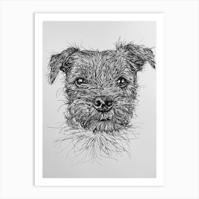 Border Terrier Dog Line Sketch 4 Art Print