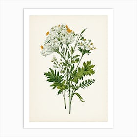 Vintage Botanical Galleria Style Wildflower Painting 21 Art Print