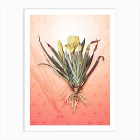 Crimean Iris Vintage Botanical in Peach Fuzz Asanoha Star Pattern n.0091 Art Print