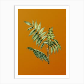 Vintage Staghorn Sumac Botanical on Sunset Orange n.0009 Art Print