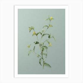 Vintage Commelina Africana Botanical Art on Mint Green n.0894 Art Print