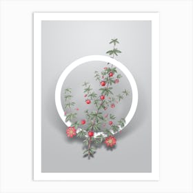 Vintage Madder Leaved Bauera Minimalist Flower Geometric Circle on Soft Gray n.0430 Art Print