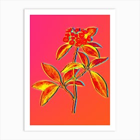Neon Mountain Laurel Branch Botanical in Hot Pink and Electric Blue n.0142 Art Print