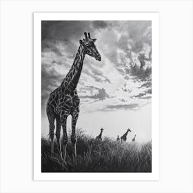 Herd Of Giraffes In The Sun Pencil Drawing 1 Art Print