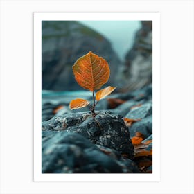 Autumn Leaves On Rocks 1 Art Print