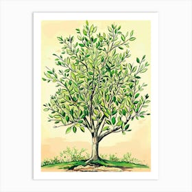 Boxwood Tree Storybook Illustration 1 Art Print