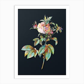 Vintage Pink Agatha Rose Botanical Watercolor Illustration on Dark Teal Blue n.0606 Art Print