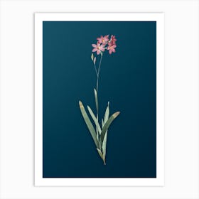 Vintage Corn Lily Botanical Art on Teal Blue n.0184 Art Print