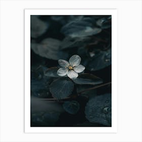 Black And White Flower 4 Art Print