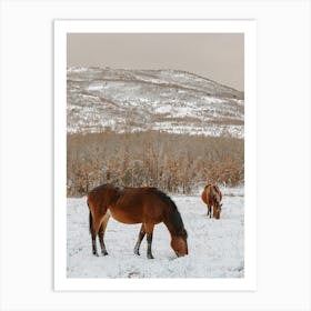 Horses In Snowy Field Art Print