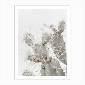 Whttcactus Art Print