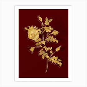 Vintage Silver Flowered Hispid Rose Botanical in Gold on Red n.0482 Art Print