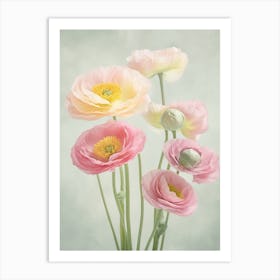Ranunculus Flowers Acrylic Painting In Pastel Colours 1 Art Print