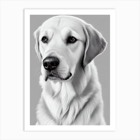 Golden Retriever B&W Pencil Dog Art Print