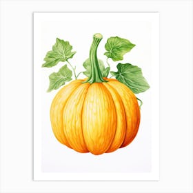 Turban Squash Pumpkin Watercolour Illustration 4 Art Print