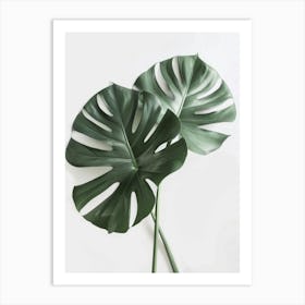 Two Monstera Leaves Art Print