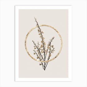 Gold Ring White Broom Glitter Botanical Illustration Art Print
