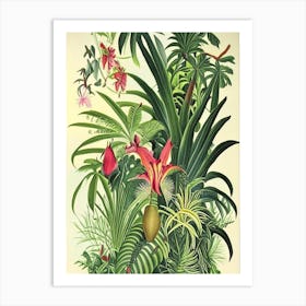 Jungle Botanicals 9 Botanical Art Print