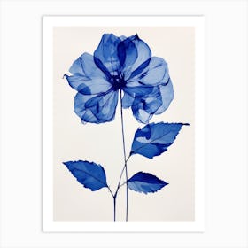 Blue Botanical Poinsettia Art Print