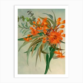 Orange Eucalypt Flowers And Leaves Art Print
