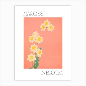 Narcissi In Bloom Flowers Bold Illustration 2 Art Print