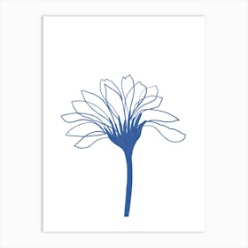 Chrysanthemum 5 Art Print