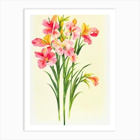 Gladioli Vintage Flowers Flower Art Print