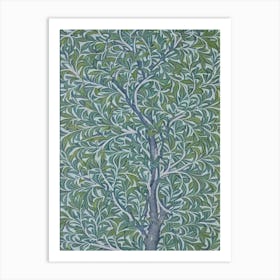 Laurel Oak tree Vintage Botanical Art Print
