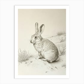 Beveren Rabbit Drawing 4 Art Print
