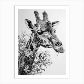 Giraffe With Their Head In The Flowers 2 Art Print