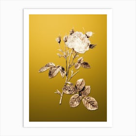 Gold Botanical White Provence Rose on Mango Yellow n.2328 Art Print