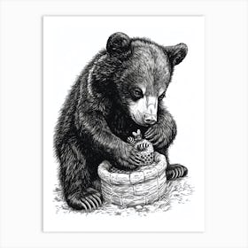 Malayan Sun Bear Cub Playing With A Beehive Ink Illustration 1 Art Print