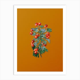 Vintage Sweet Scented Hawthorn Botanical on Sunset Orange n.0314 Art Print