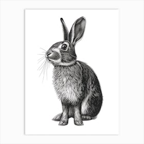 Blanc De Hotot Blockprint Rabbit Illustration 4 Art Print