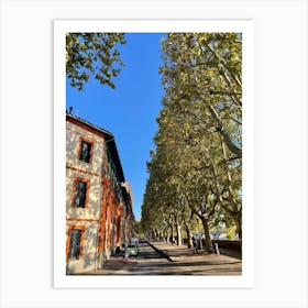 Toulouse Art Print